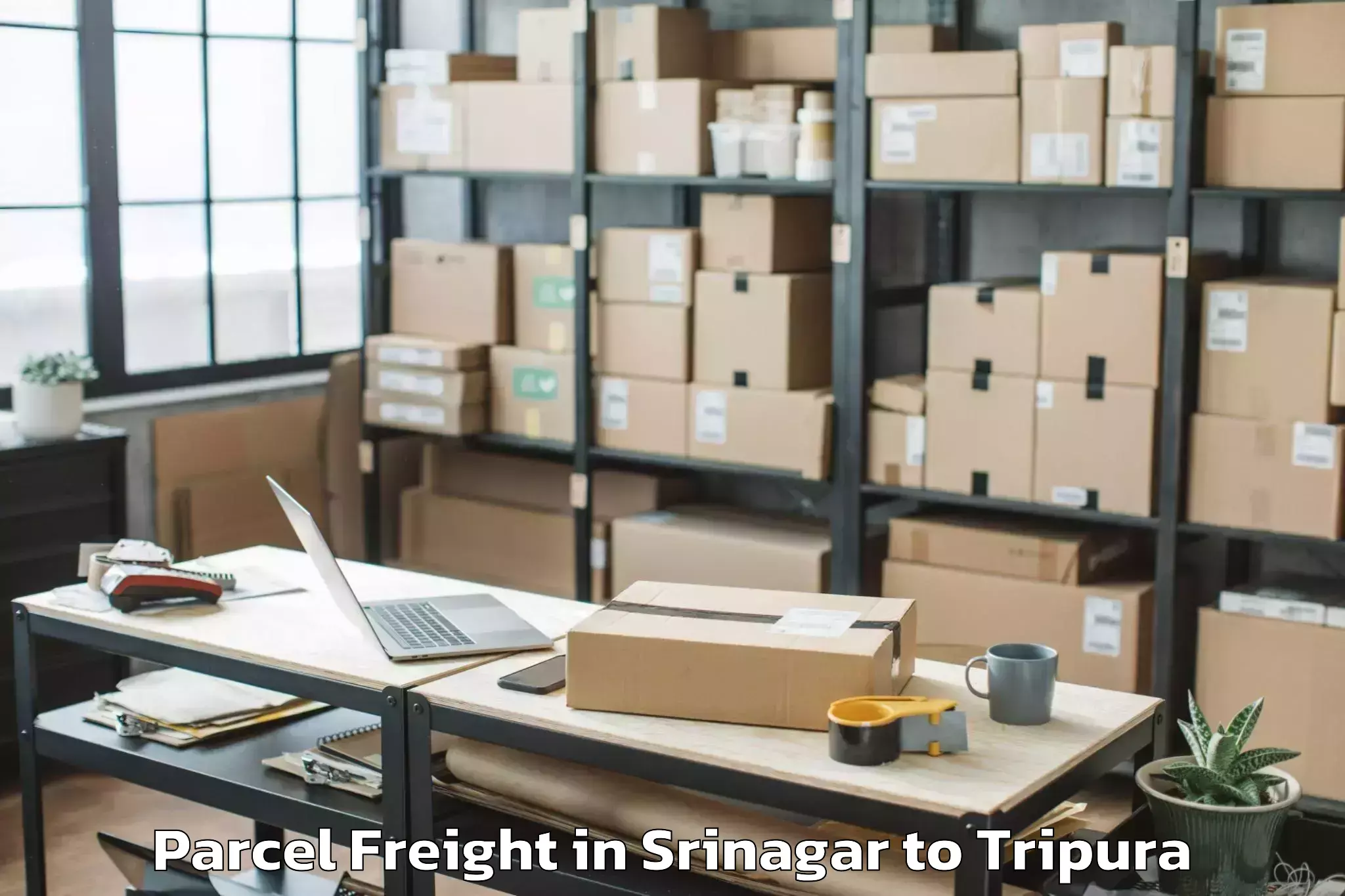 Expert Srinagar to Agartala Airport Ixa Parcel Freight